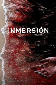 Inmersión Online En Netflix