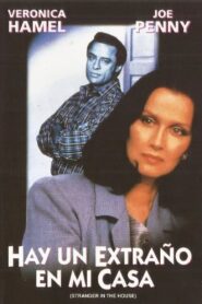 Stranger in My Home Online En Netflix