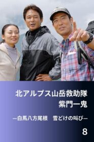 北アルプス山岳救助隊・紫門一鬼８　白馬八方尾根　雪どけの叫び Online En Netflix