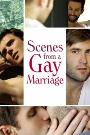 Scenes from a Gay Marriage Online En Netflix