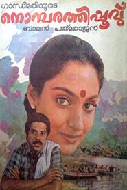നൊമ്പരത്തിപ്പൂവ് Online En Netflix