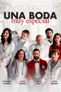 Another Kind of Wedding Online En Netflix
