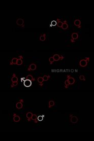 Migration Online En Netflix
