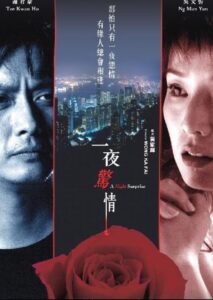 一夜驚情 Online En Netflix