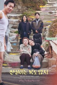 찬실이는 복도 많지 Online En Netflix