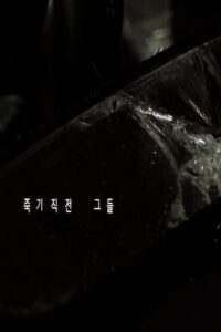 죽기 직전 그들 Online En Netflix