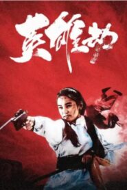英雄劫 Online En Netflix