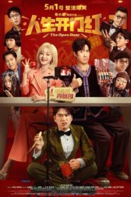 人生开门红 Online En Netflix