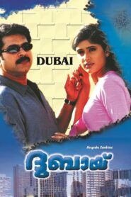 ദുബായ് Online En Netflix