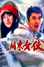 关东女侠 Online En Netflix