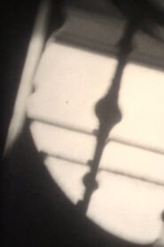 道 Online En Netflix