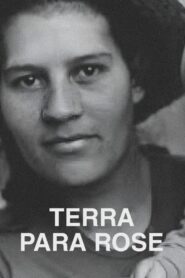 Terra Para Rose Online En Netflix