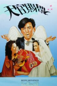 天官賜福 Online En Netflix