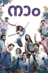നാം Online En Netflix