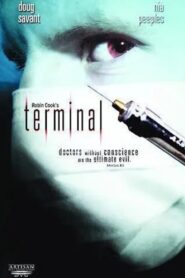 Terminal Online En Netflix