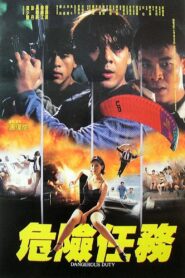 危險任務 Online En Netflix