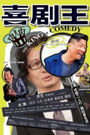 喜剧王 Online En Netflix