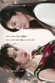 愛を乞うひと Online En Netflix