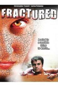 Fractured Online En Netflix