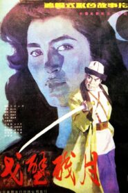 戈壁残月 Online En Netflix