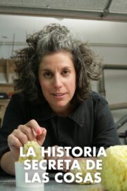 The Secret Story of Stuff: Materials of the Modern Age Online En Netflix