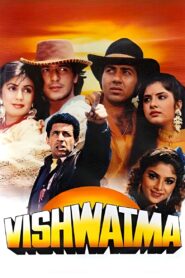 विश्वात्मा Online En Netflix