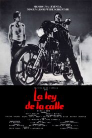 La ley de la calle Online En Netflix