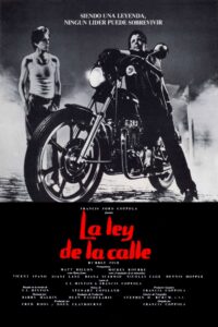 La ley de la calle Online En Netflix