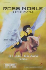 Ross Noble: Sonic Waffle Online En Netflix