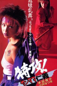 特攻！ヤンママ仁義 Online En Netflix