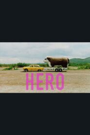 Hero Online En Netflix
