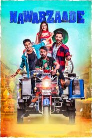 नवबज़ादे Online En Netflix