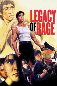 Legado de Valor Online En Netflix