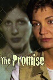 The Promise Online En Netflix
