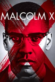 Malcolm X Online En Netflix