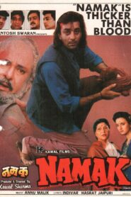 Namak Online En Netflix