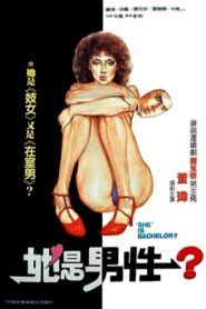 失声画眉 Online En Netflix