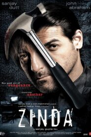 Zinda Online En Netflix