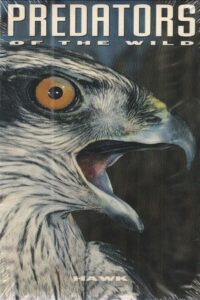 Predators of the Wild: Hawk Online En Netflix
