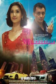 Pencuri Hati Mr Cinderella Online En Netflix