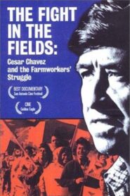 The Fight In The Fields Online En Netflix