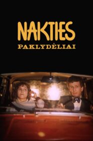 Nakties paklydėliai Online En Netflix