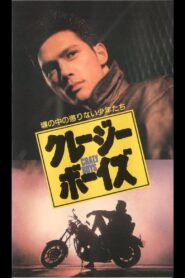 クレージーボーイズ Online En Netflix