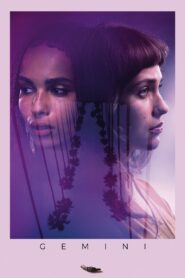 Gemini Online En Netflix