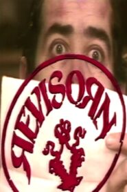Revisorn Online En Netflix