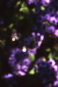 Abaton Online En Netflix