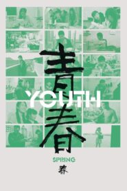 青春（春） Online En Netflix