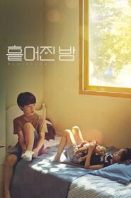 흩어진 밤 Online En Netflix