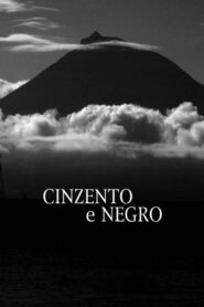 Cinzento e Negro Online En Netflix