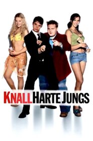Knallharte Jungs Online En Netflix